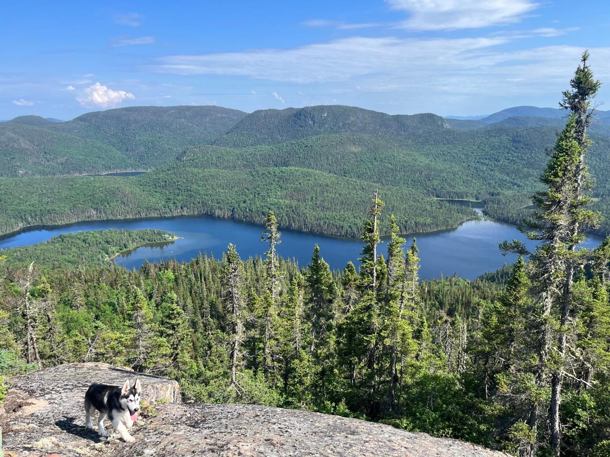 Auberge Boreale De Charlevoix Petit-Saguenay ภายนอก รูปภาพ